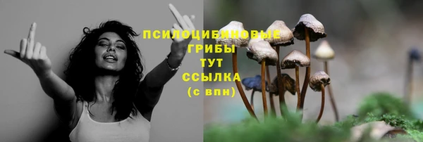 MDMA Белоозёрский