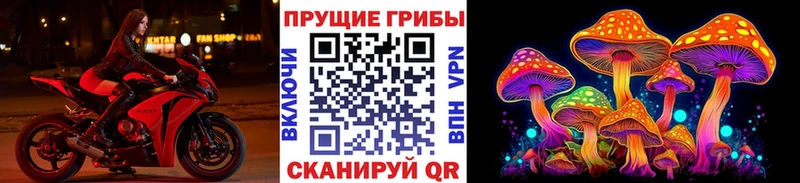 Псилоцибиновые грибы мицелий  Волосово 